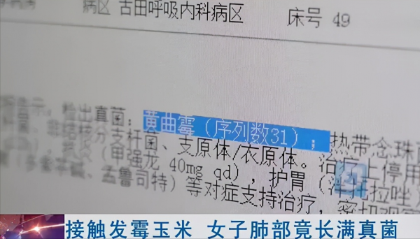 女子收玉米得肺炎?發黴的玉米多可怕?養羊的更要看 女子收玉米得肺炎?發黴的玉米多可怕?養羊的更要看