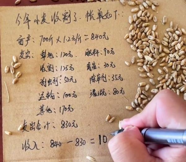 有人算一筆賬，種植一畝地小麥，純收入只有10元，為何漏洞百出？