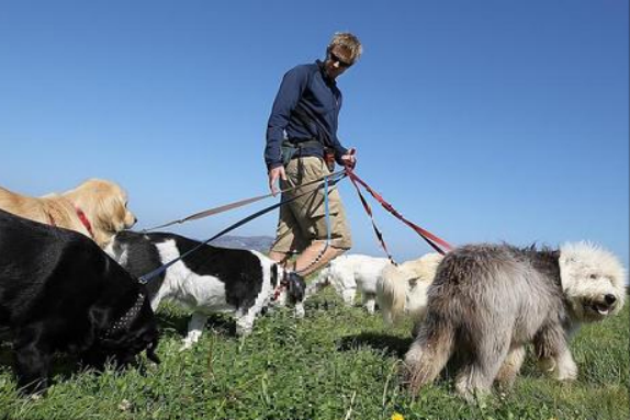 60張圖片,帶你走進所謂的“天堂美國” 60張圖片,帶你走進所謂的“天堂美國”