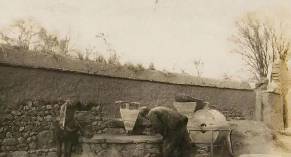 民國農村探案：雨夜樹上三人被困樹下現雙屍，稚童看出端倪破兇案