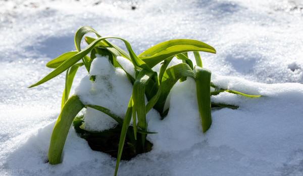 天氣預報:2021年冬天是旱是澇?看九月二十五天氣,農諺能預兆 天氣預報:2021年冬天是旱是澇?看九月二十五天氣,農諺能預兆