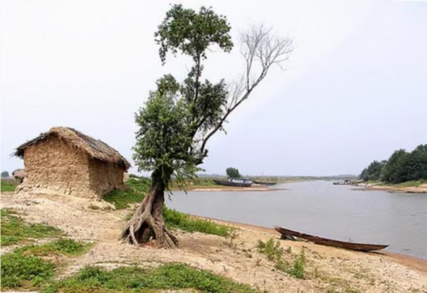 新四軍最初8個團，1945年發展到31萬人，最初的主官都有誰？