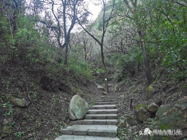 每年僅開放一個月的賞紅景點,到底值不值得去? 每年僅開放一個月的賞紅景點,到底值不值得去?