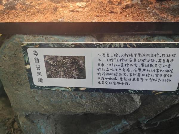 內蒙古科技館一日遊