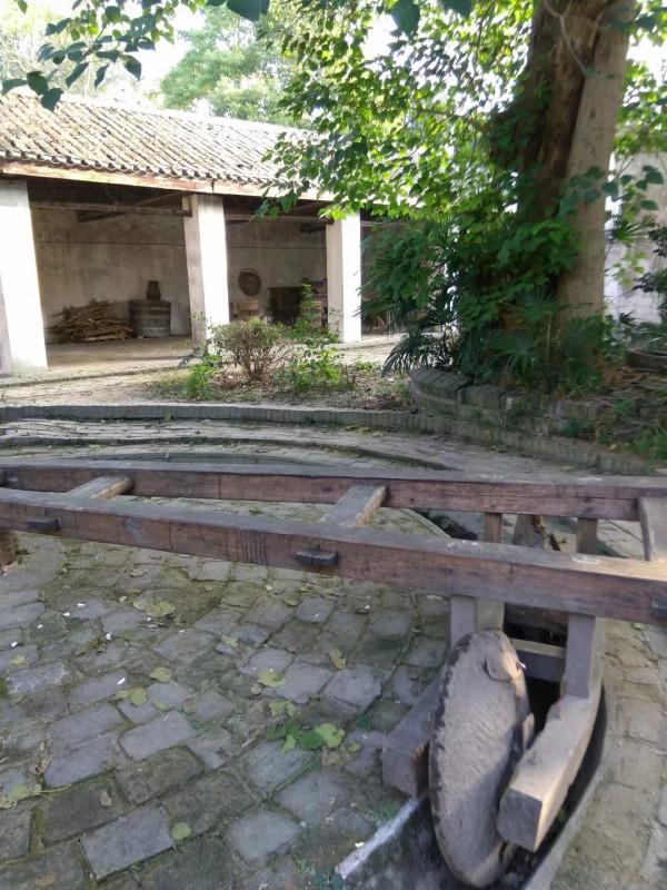 革命的紅色記憶