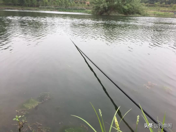 長竿釣鯽魚還真要點技術!老釣友幫你捋一捋,哪幾件事最重要 長竿釣鯽魚還真要點技術!老釣友幫你捋一捋,哪幾件事最重要