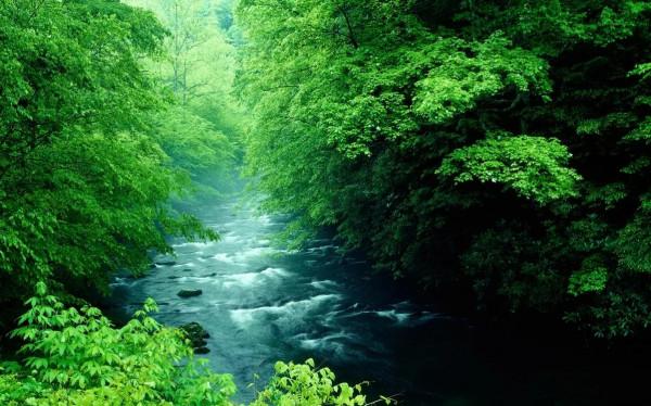 山村往事3:一條會說話的魚 山村往事3:一條會說話的魚