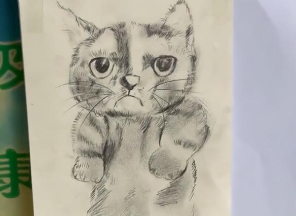 河北一小貓走失被保安逮到,還畫了張小貓像招領,網友:一模一樣 河北一小貓走失被保安逮到,還畫了張小貓像招領,網友:一模一樣