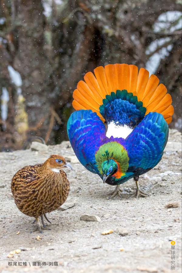 出發!穿越中國最長國道219 出發!穿越中國最長國道219