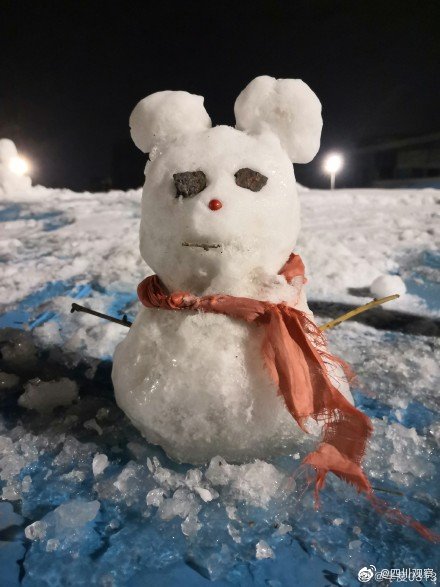 為女兒堆的大熊雪人火了