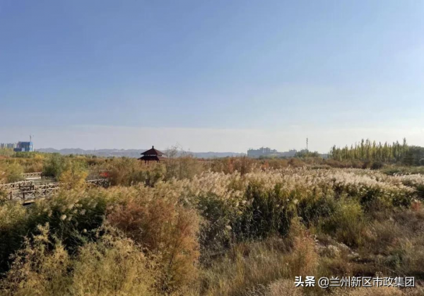 醉美秦王川，秋景如詩如畫