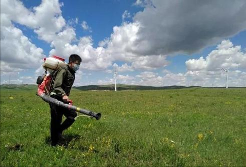 印度蝗災或向中亞擴散，新疆地區或迎來危機？“滅蝗大戰”白熱化