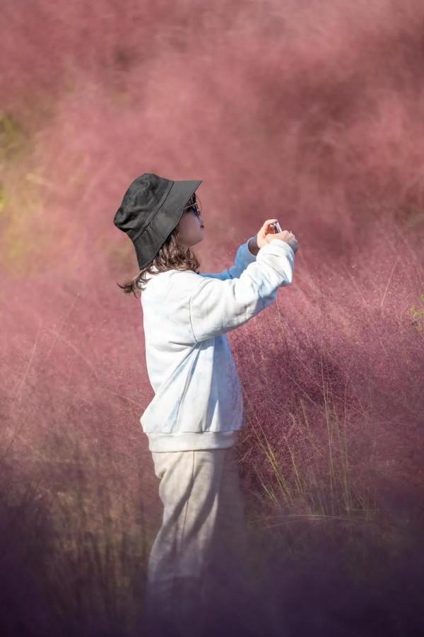 攻略② | 適合秋季打卡的旅行清單都在這裡,請收下 攻略② | 適合秋季打卡的旅行清單都在這裡,請收下