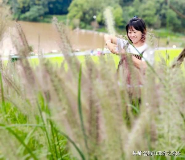 金秋與粉黛亂子草來一場夢幻的邂逅 金秋與粉黛亂子草來一場夢幻的邂逅