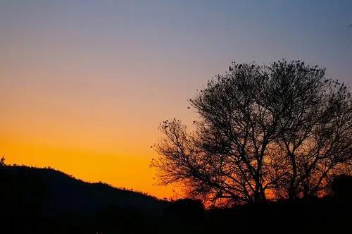 時間只有自己熬煮，才有滋有味