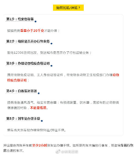 如何自己辦理寵物託運