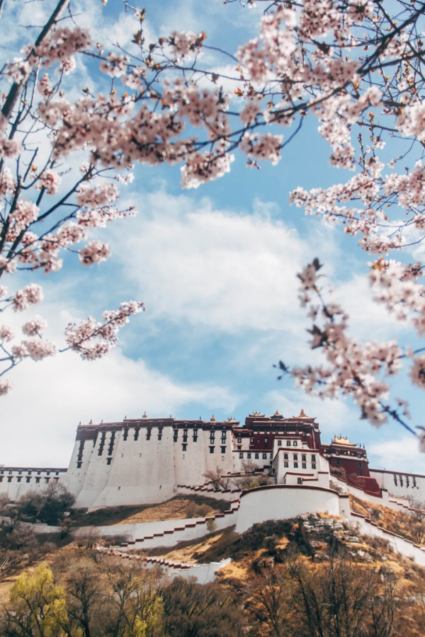 2022我不想再猶豫！旅行第一站，西藏