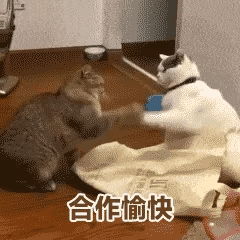 你的信用卡額度為什麼很低?一招教你讀懂銀行信用卡賺錢的邏輯 你的信用卡額度為什麼很低?一招教你讀懂銀行信用卡賺錢的邏輯