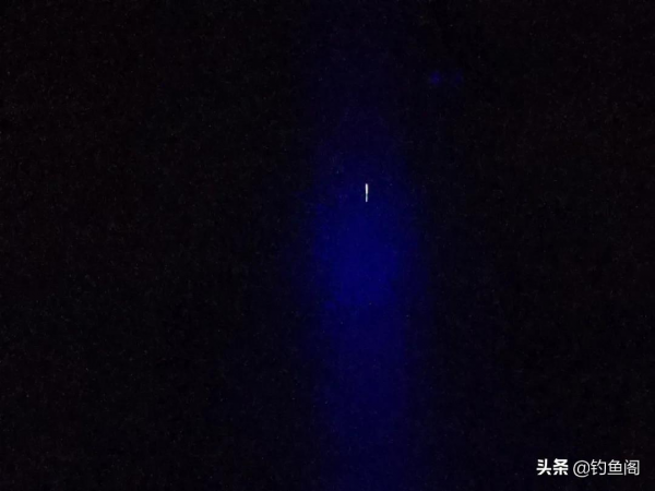 夜釣總是沒口?提醒你做好這4件事,擺脫空軍不再難 夜釣總是沒口?提醒你做好這4件事,擺脫空軍不再難