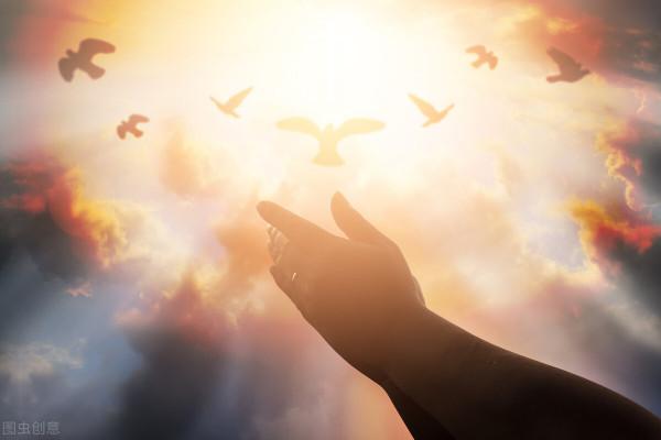 長翅膀可以上天入地,為什麼動物不都進化出翅膀來? 長翅膀可以上天入地,為什麼動物不都進化出翅膀來?