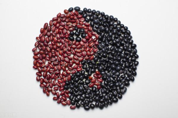 臟腑兼證十三款