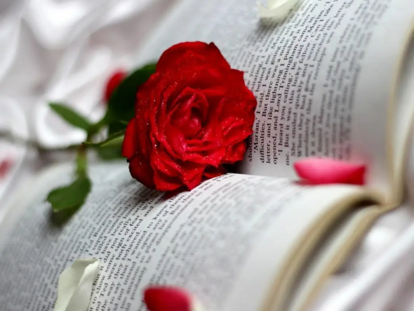 人世間最徹底的報復就是遺忘