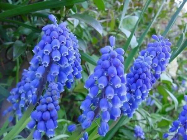 讓心靈憧憬美好，讓生活充滿陽光