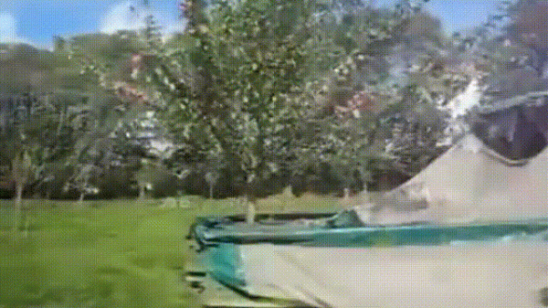 德國全機械化農業有多牛？看完讓你大開眼界，一個農民養活120人