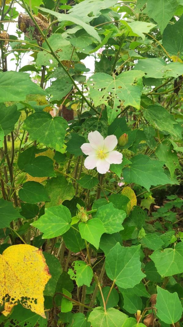 跑步,最適合的季節(2021.9.20) 跑步,最適合的季節(2021.9.20)