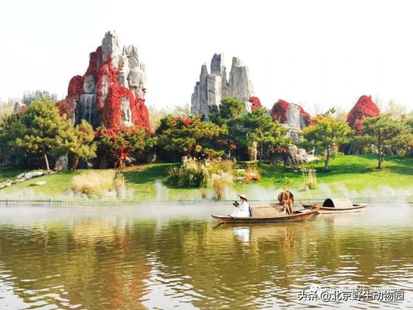 絕美的秋色，動物朋友們都陶醉了