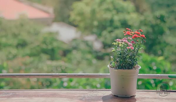 和愛讀書的人深交,你會越過越幸福! 和愛讀書的人深交,你會越過越幸福!