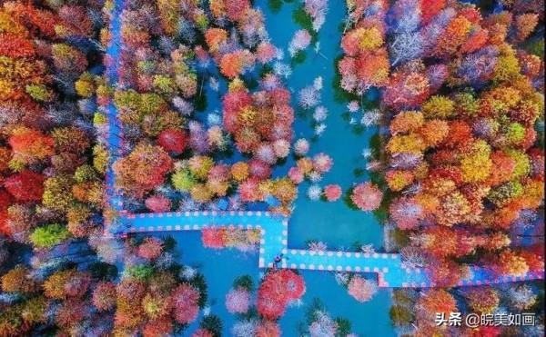 安徽秋遊,五個自駕推薦地|去趕赴秋天的盛會 安徽秋遊,五個自駕推薦地|去趕赴秋天的盛會