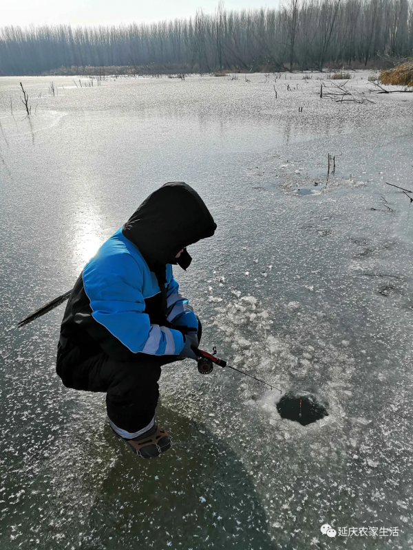 冰釣，享受冬季的樂趣