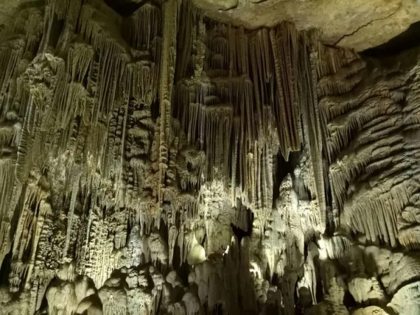 中國國家地理:如果你一生只想去一個洞穴,那非織金洞莫屬 中國國家地理:如果你一生只想去一個洞穴,那非織金洞莫屬