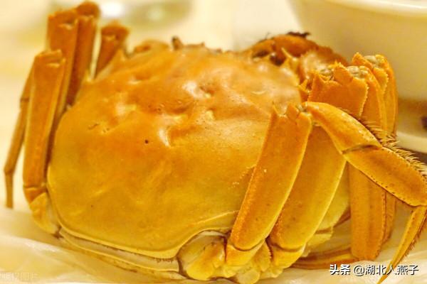 上海最出名的15道名菜,特色本幫菜菜譜,濃油赤醬,你吃過幾道呢 上海最出名的15道名菜,特色本幫菜菜譜,濃油赤醬,你吃過幾道呢