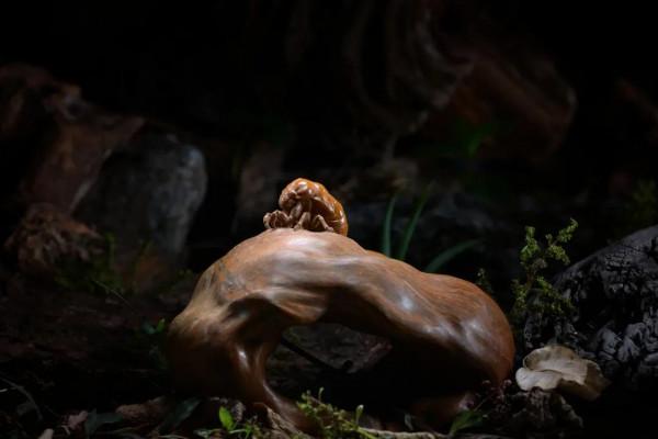 壽山新秀作品集（2）