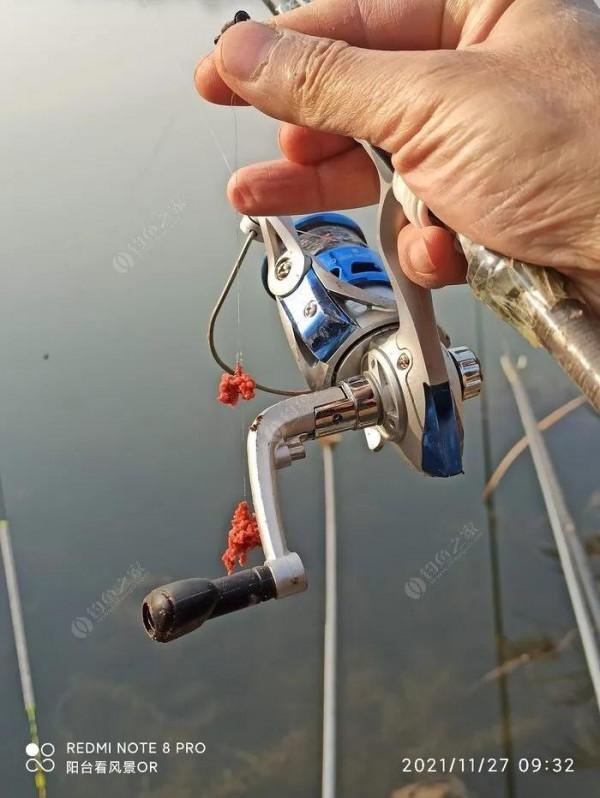 大水面多半天無口,大爺就是大爺,釣河溝還爽的一筆 大水面多半天無口,大爺就是大爺,釣河溝還爽的一筆