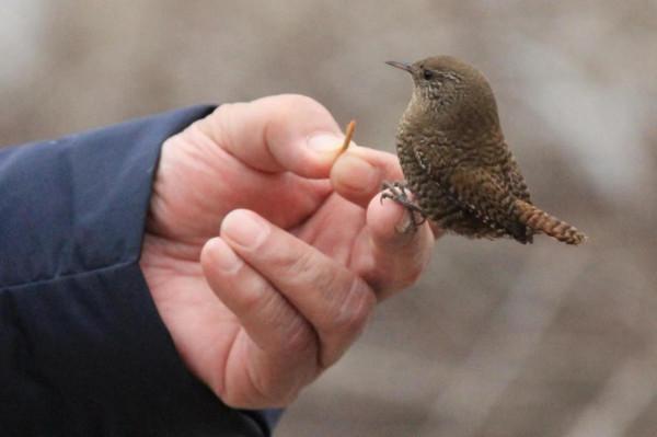 淵源共生，和諧共融