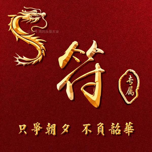 200張正能量姓氏頭像，張張精品，只爭朝夕 不負韶華