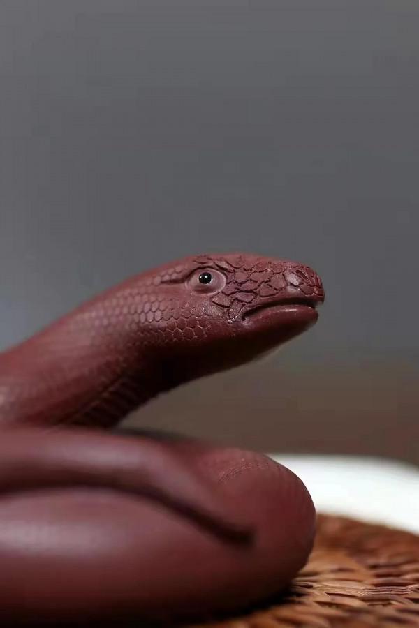 腰纏萬貫蛇，逼真嗎？