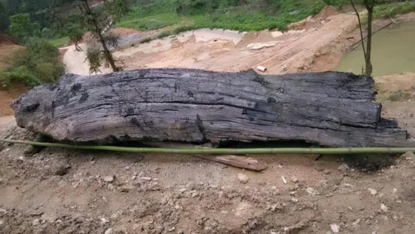 工地上的農民居然是根雕大師，無意挖出來一根木頭，雕刻後太牛了