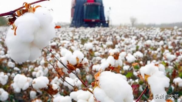 中美會晤後，英國、澳大利亞緊急轉變對華態度，反倒讓人心裡沒底