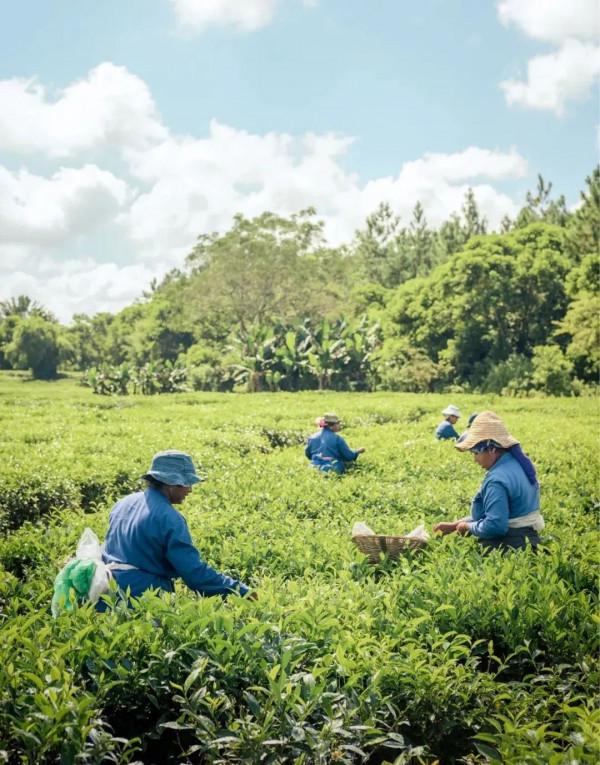 在這個2022上榜國，尋找不一樣的海島度假方式