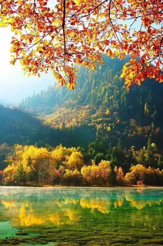 分享~九寨溝 碧水藍天 天然唯美