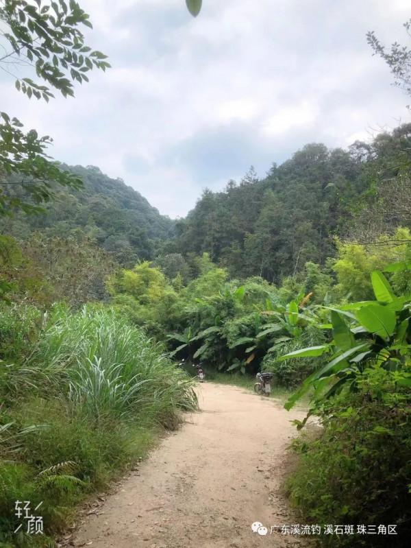 釣點 美景 魚獲——我們在路上（尋找溪釣 探釣點）