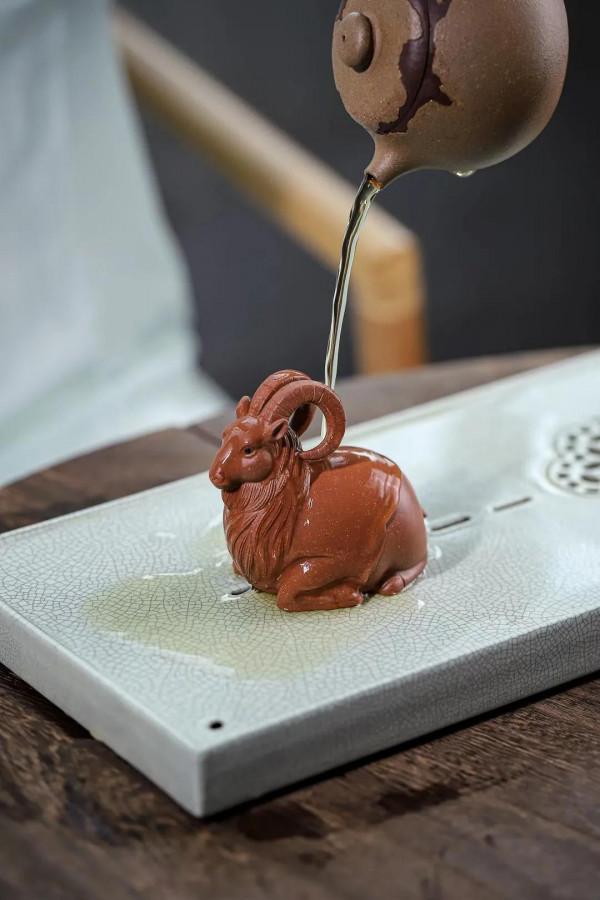 精品羊，可愛嗎？