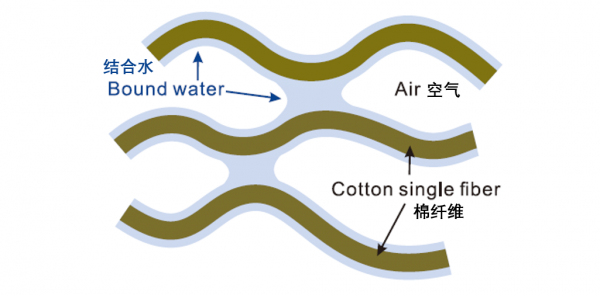 肚臍眼後面通向哪裡？| 趣問萬物