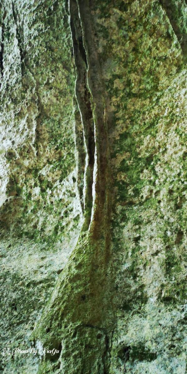 波多黎各之旅(四)遊風洞(CuevaVentana)奇遇世外桃源 波多黎各之旅(四)遊風洞(CuevaVentana)奇遇世外桃源