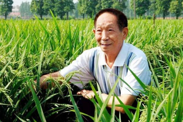 谷歌前CEO提議美企聯合對抗我國？對不起，我們不在意