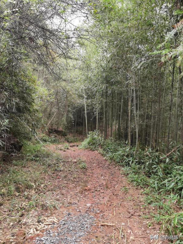 飛天山徒步，竟誤入桃源深處